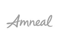 amneal logo 2